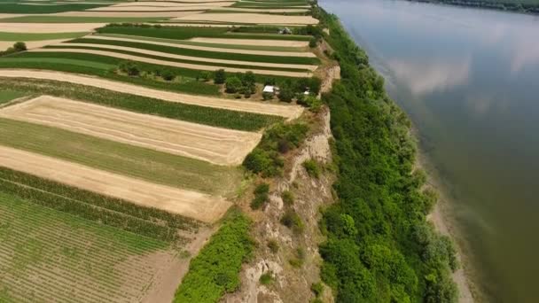 Aerial Kilátás Színes Mezők Magas Duna Partján Folyó Szerbiában Dönthető — Stock videók