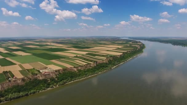 Vista Aérea Campos Colores Orilla Alta Del Río Danubio Serbia — Vídeo de stock