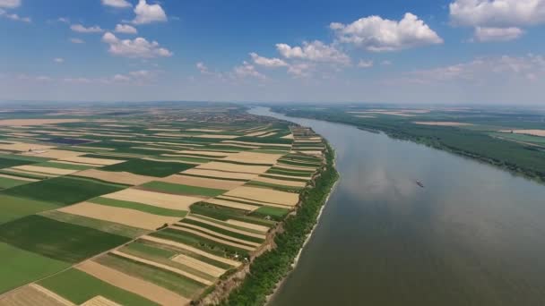 Vista Aérea Campos Colores Orilla Alta Del Río Danubio Serbia — Vídeo de stock