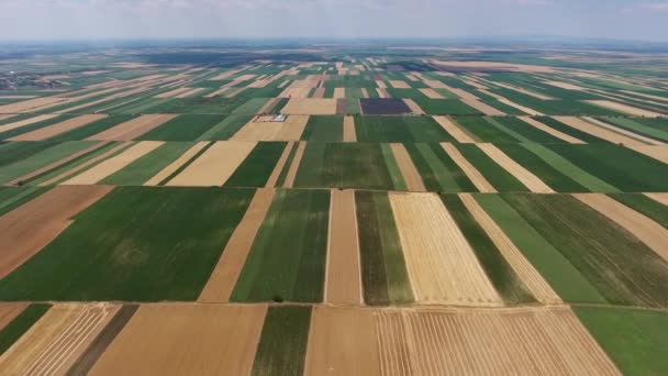 Сільський Повітряний Ландшафт Мультикольоровими Сільськогосподарськими Полями Сербії — стокове відео