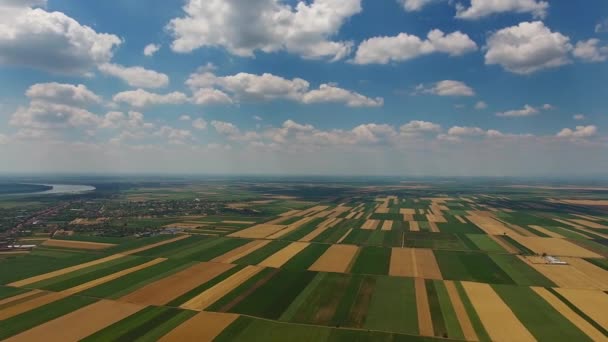 Sırbistan Çok Renkli Tarım Alanlarına Sahip Kırsal Hava Manzarası Panorama — Stok video