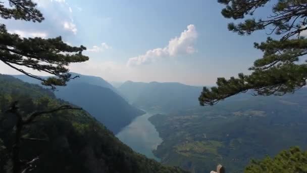Flying Viewpoint Banjska Stena Rock Tara Mountain Looking Canyon Drina — Stock Video