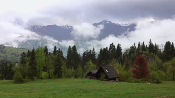 Slovenya Bahar Aylarında Dağ Alpleri Sis Bulutlarındaki Ağaçlarla Kaplı — Stok video