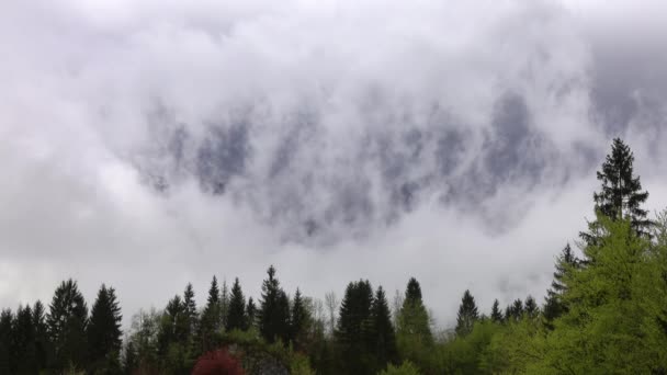 Alpes Montanha Paisagem Com Árvores Nevoeiro Nuvens Eslovénia Primavera — Vídeo de Stock