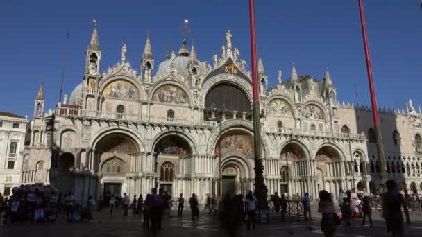 Touristen Auf Dem Markusplatz Vor Der Basilika Venedig Italien Zeitraffer — Stockvideo