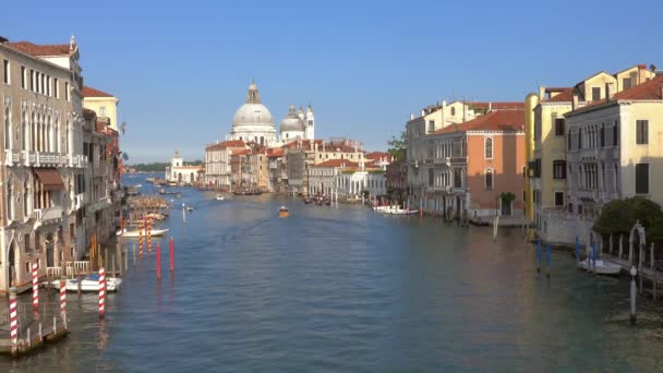 Grande Canal Basílica Santa Maria Della Salute Veneza Itália — Vídeo de Stock