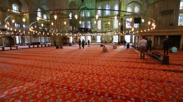 Istanbul Turquía Circa Mayo 2018 Interior Mezquita Azul También Conocida — Vídeos de Stock