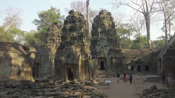 Siem Reap Cambodia Circa Jan 2017 Temple Prohm Angkor Wat — Video