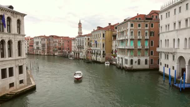 Venice イタリア Circa 2017年5月 リアルト橋からの大運河の眺め早朝 — ストック動画