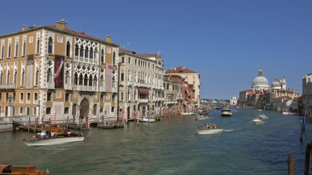 Venice Itália Circa Maio 2017 Grand Canal Basílica Santa Maria — Vídeo de Stock