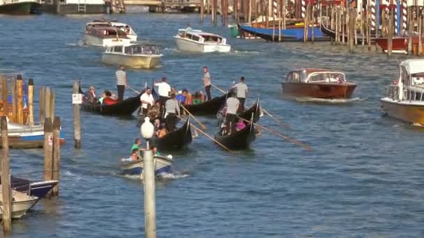 Venice Olaszország Circa Május 2017 Gondolacsoport Velencei Grand Canal — Stock videók