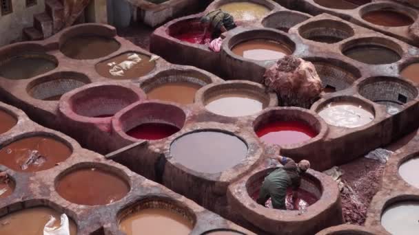 Fez Morocco Circa Feb 2018 Чоловіки Працюють Старих Танках Шкіряних — стокове відео