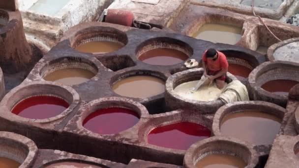 Fez Marruecos Circa Feb 2018 Hombres Trabajando Como Curtidor Tanques — Vídeo de stock