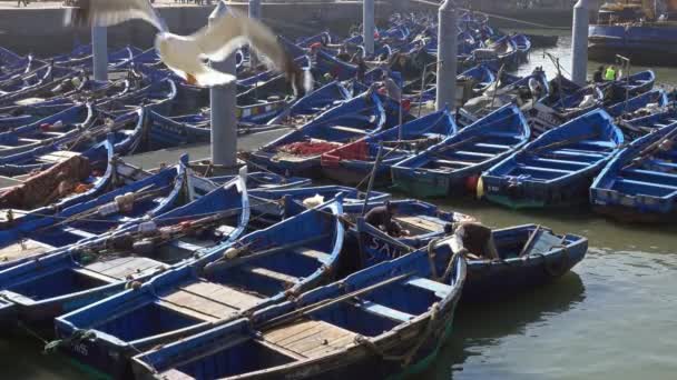 Essaouira Morocco Circa Feb 2018 Рибалки Блакитні Риболовні Човни Порту — стокове відео