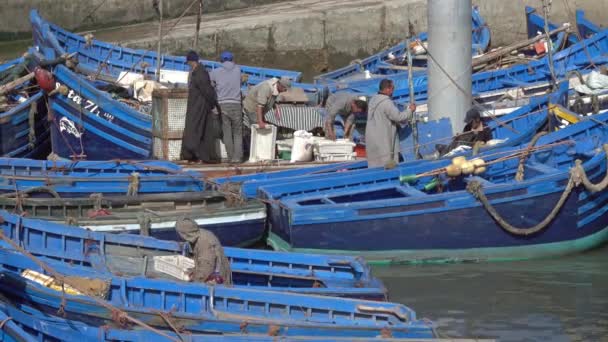 Essaouira Morocco Circa Feb 2018 Rybacy Błękitne Łodzie Rybackie Porcie — Wideo stockowe