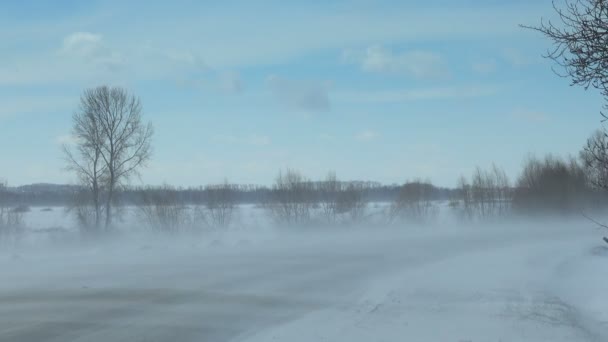 在暴风雪的冬季路上行驶的汽车 — 图库视频影像