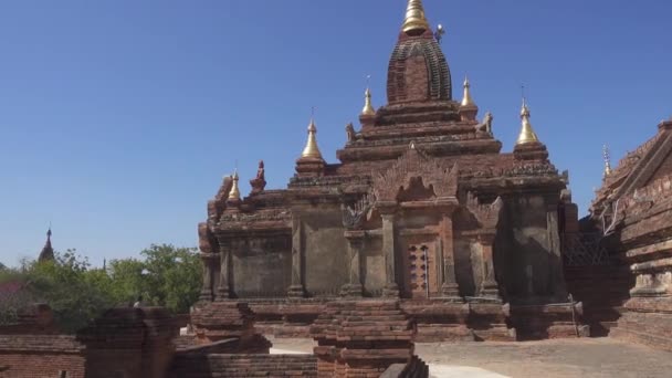 Dhamma Pagoda Bagan Myanmar Birmania Vista Panorámica — Vídeo de stock