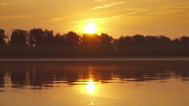 Пейзаж Восходом Солнца Над Большой Рекой — стоковое видео