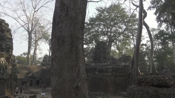 Prohm Tempel Angkor Wat Siem Reap Cambodja Pan View — Stockvideo