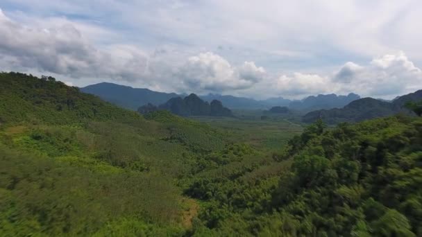 Vue Aérienne Sur Rainforest Parc National Khao Sok Thaïlande — Video