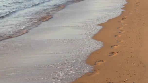 Сліди Піщаному Пляжі Вздовж Краю Моря — стокове відео