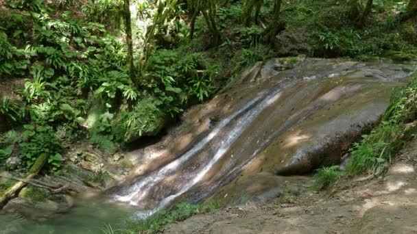 Paysage Avec Une Cascade Qui Coule Travers Les Rochers Dans — Video