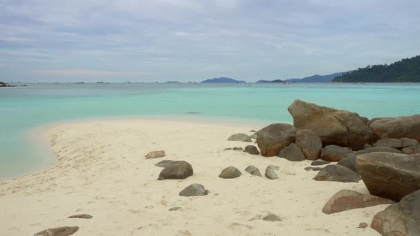 Honden Slapen Sunrise Strand Tropisch Koh Lipe Eiland Thailand — Stockvideo