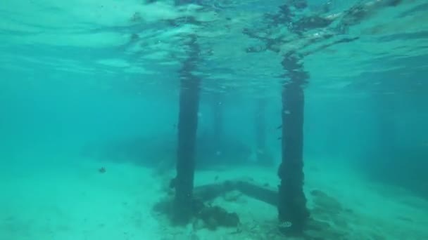 Scuba Diving Abandoned Concrete Pillars — Stock Video