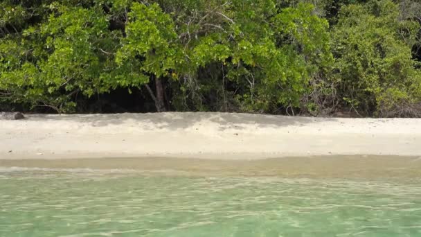 Einsamer Sandstrand Auf Einer Insel Thailand — Stockvideo