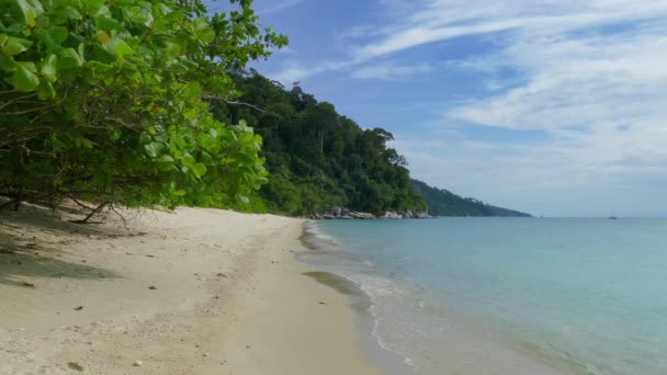 Landskap Med Öde Sandstrand Koh Adang Thailand — Stockvideo