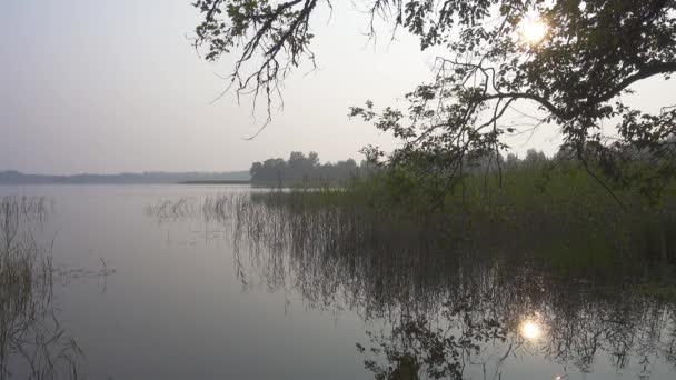 Mattina Paesaggio Estivo Sul Lago Seliger Russia — Video Stock