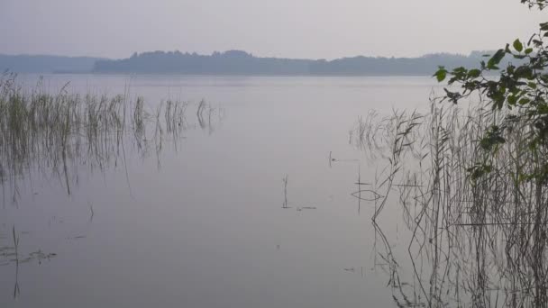 Matin Paysage Été Sur Lac Seliger Russie — Video