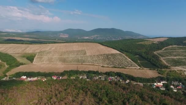 Abrau Durso Kafkasya Rusya Daki Üzüm Bağlarının Hava Manzarası — Stok video