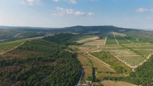 Vista Aérea Viñedos Abrau Durso Cáucaso Rusia — Vídeos de Stock