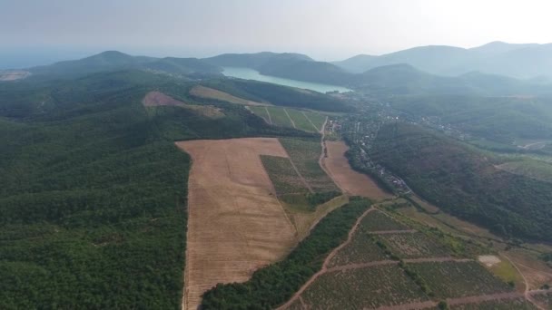 Vista Aérea Viñedos Lago Abrau Durso Cáucaso Rusia — Vídeos de Stock