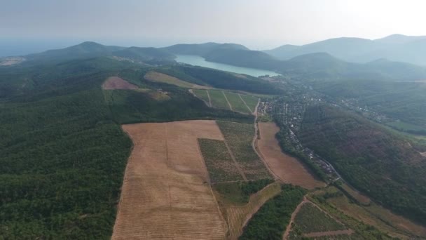 アブラウ ドゥルソ コーカサス ロシア 4Kのブドウ畑と湖の空中ビュー — ストック動画