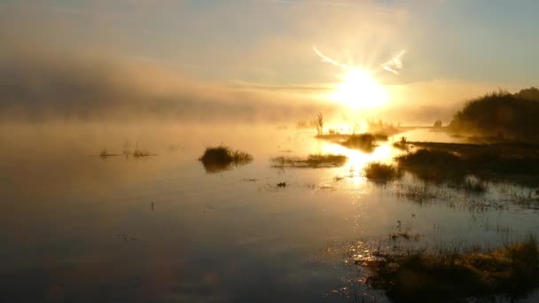 Пейзаж Схід Сонця Річці Тумані — стокове відео
