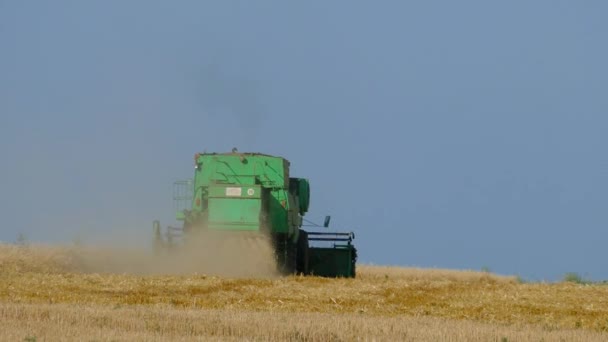 Mähdrescher Landwirtschaftliche Maschine Erntet Goldenen Reifen Weizen Feld — Stockvideo