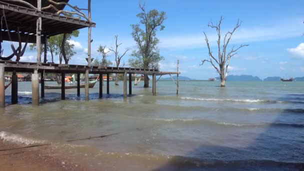 Casas Tradicionais Palafitas Barcos Cidade Velha Ilha Koh Lanta Tailândia — Vídeo de Stock