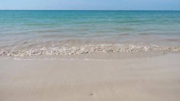 Praia Tropical Areia Branca Wuth — Vídeo de Stock