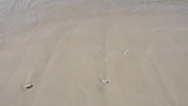 Tropik Plaj Wuth Beyaz Kum — Stok video