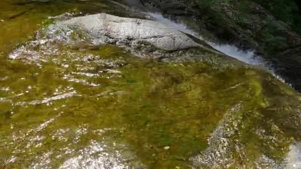 Waterval Snelle Waterstroom Stroomt Van Dichtbij — Stockvideo