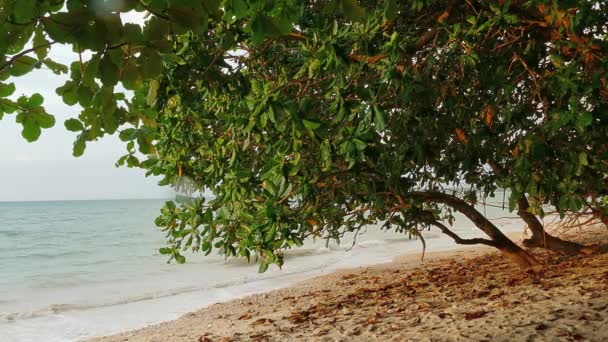 Schoonheid Natuur Landschap Met Strand Zee Bij Zonsondergang Khao Lak — Stockvideo