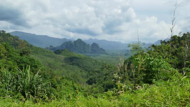 Paisaje Con Selva Tropical Del Parque Nacional Khao Sok Tailandia — Vídeos de Stock