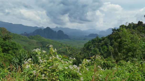 Paisaje Con Selva Tropical Del Parque Nacional Khao Sok Tailandia — Vídeos de Stock