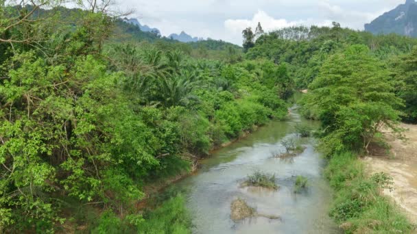 Krajobraz Rzeką Parku Narodowym Khao Sok Tajlandii — Wideo stockowe