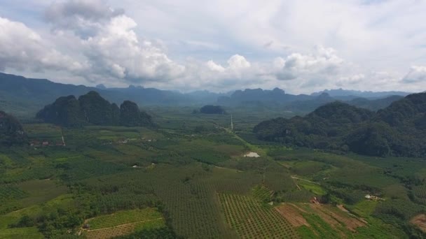 Vista Aérea Sobre Selva Tropical Del Parque Nacional Khao Sok — Vídeos de Stock