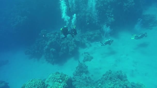 Potápěči Pracující Pod Vodou Bubliny Uvolnění — Stock video