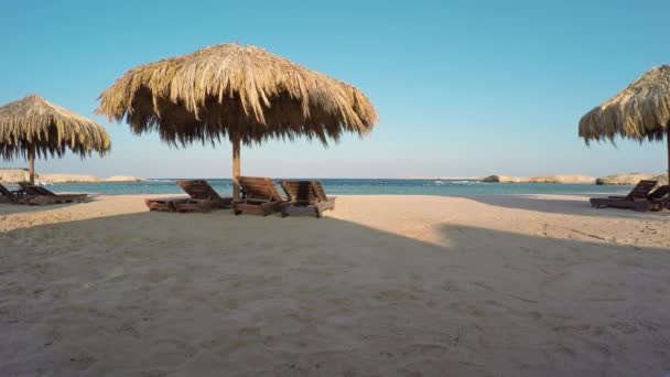Guarda Chuvas Praia Resort — Vídeo de Stock