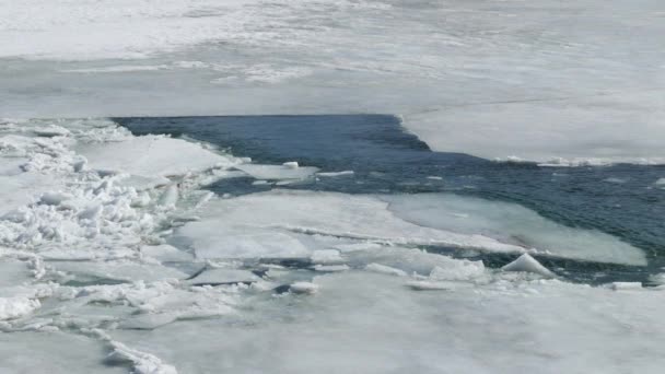 Glace Fissurée Flottant Sur Rivière Printemps — Video